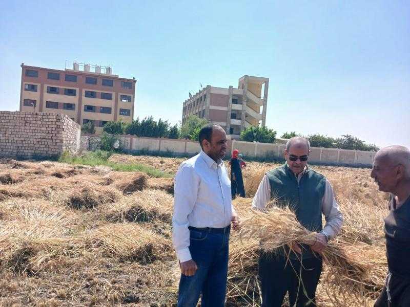 وزير الزراعة: رفع حالة الاستعداد القصوى استعدادًا لحصاد وتوريد القمح