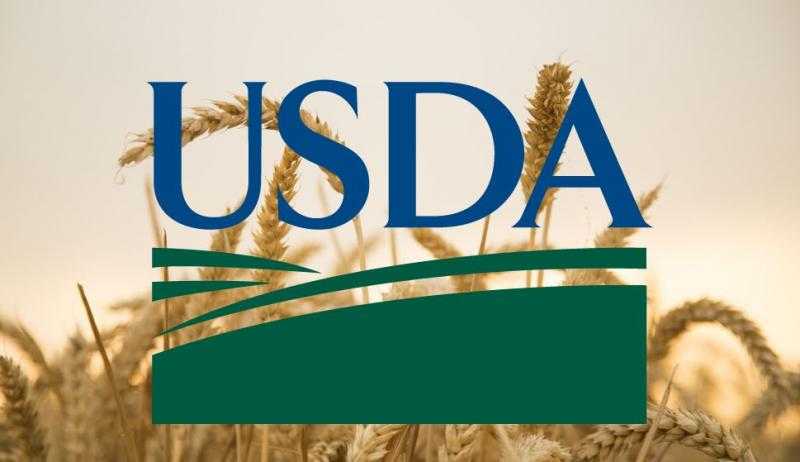 «USDA» ترفع توقعاتها لصادرات القمح الأوكراني هذا العام