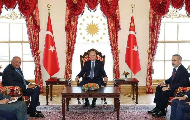 وزير الخارجية يتطلع إلى وصول حجم التبادل التجاري مع تركيا إلى 15 مليار دولار