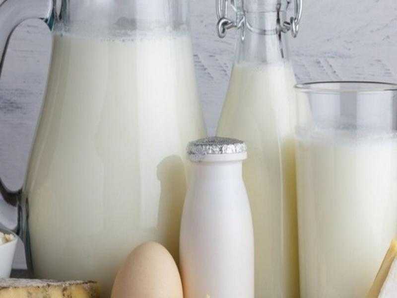 «بلدنا» القطرية تستثمر 3.5 مليار دولار في الجزائر لإنتاج الحليب