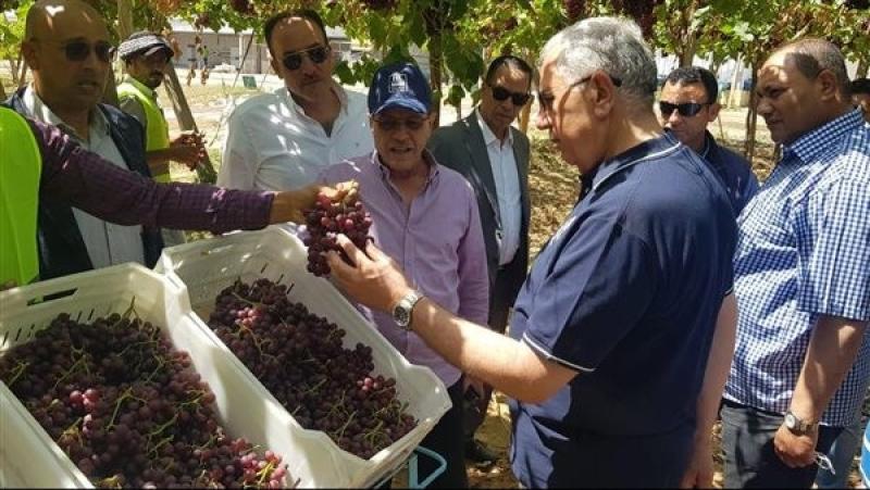وزير الزراعة يتفقد إحدى محطات التصدير بالنوبارية