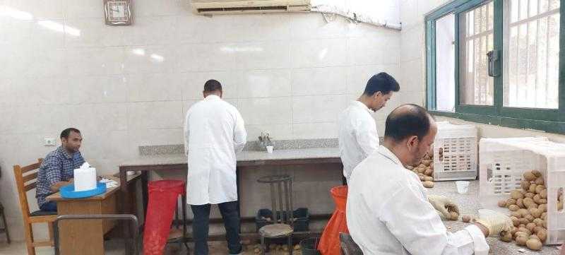 الزراعة: فحص ما يزيد عن مليون طن من البطاطس للتصدير منذ بداية الموسم| صور