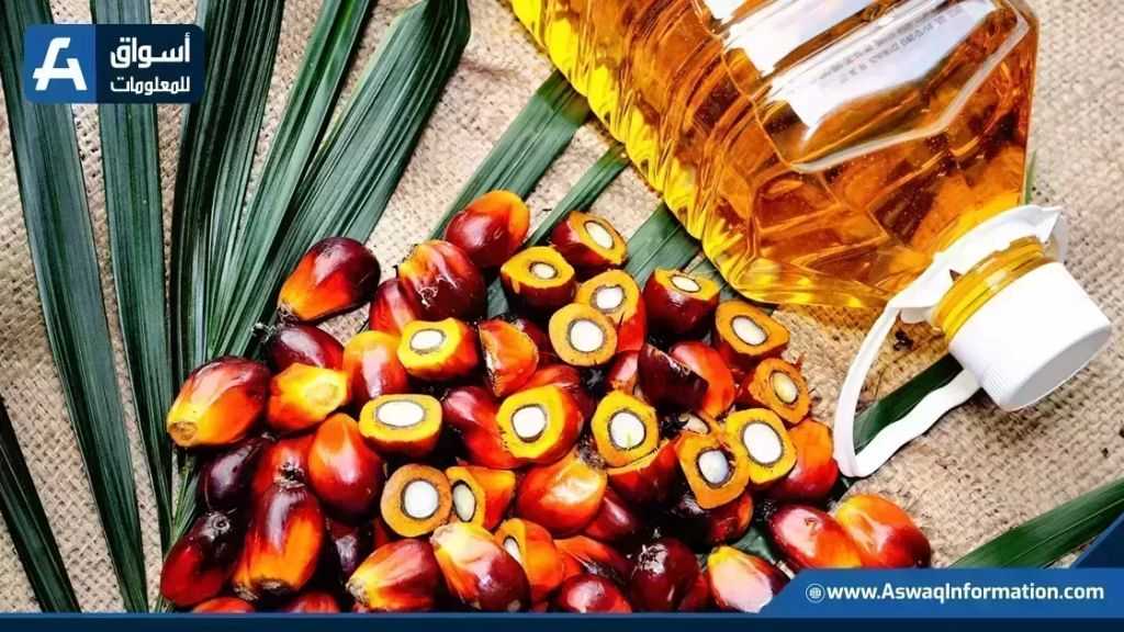 توقعات بارتفاع إنتاج زيت النخيل الماليزي لأعلى مستوى منذ ديسمبر