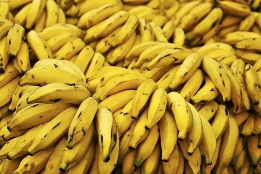 تراجع صادرات ميانمار من الموز إلى الصين بنسبة 45% وسط قيود صارمة