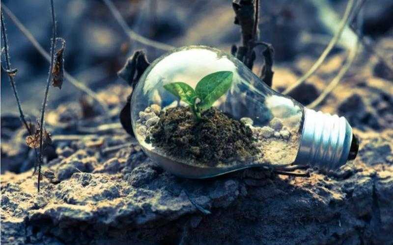 التخطيط: 50% نسبة المشروعات الخضراء بنهاية 2024/ 2025