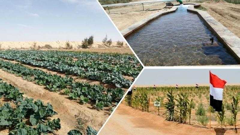 أنشطة قطاع استصلاح الأراضي في سيناء خلال عام