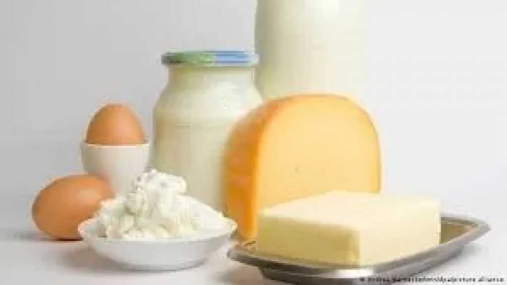 طفرة قياسية في صادرات الزبدة الأوكرانية خلال 2025 والعوائد تتجاوز 107 ملايين دولار