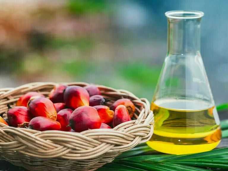 تراجع أسعار زيت النخيل الماليزي بضغط من ضخامة المخزونات رغم تفاؤل الطلب