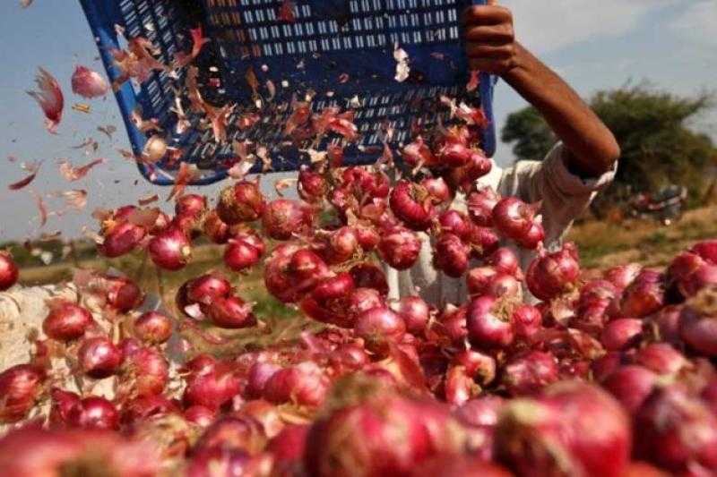 هيئة سلامة الغذاء: 4050 رسالة غذائية مصدرة والموالح والبصل فى المقدمة