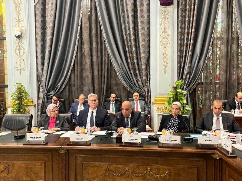 محمود عصمت يعرض برنامج عمل «الكهرباء» لتحسين جودة الخدمة أمام البرلمان