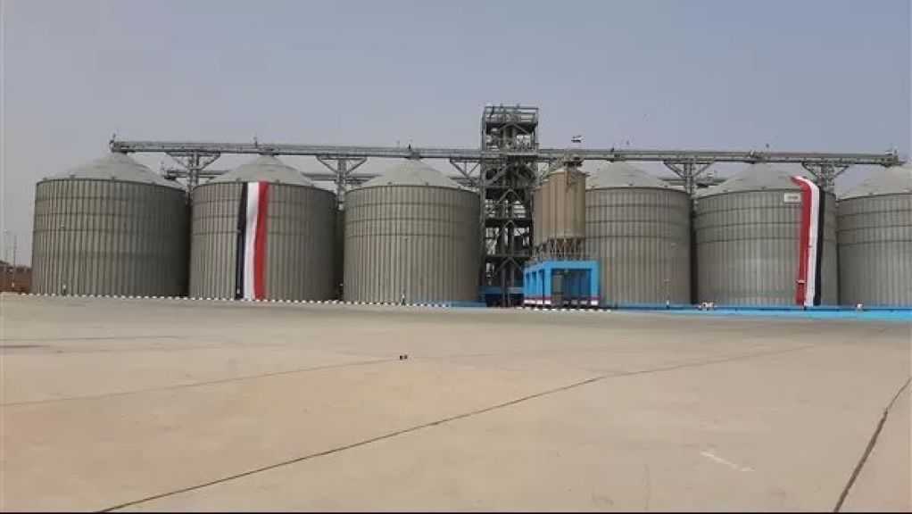 تضم أمونيا وصوامع.. ”التمثيل التجاري”: الاستثمارات البولندية في مصر شهدت نموًا ملحوظًا