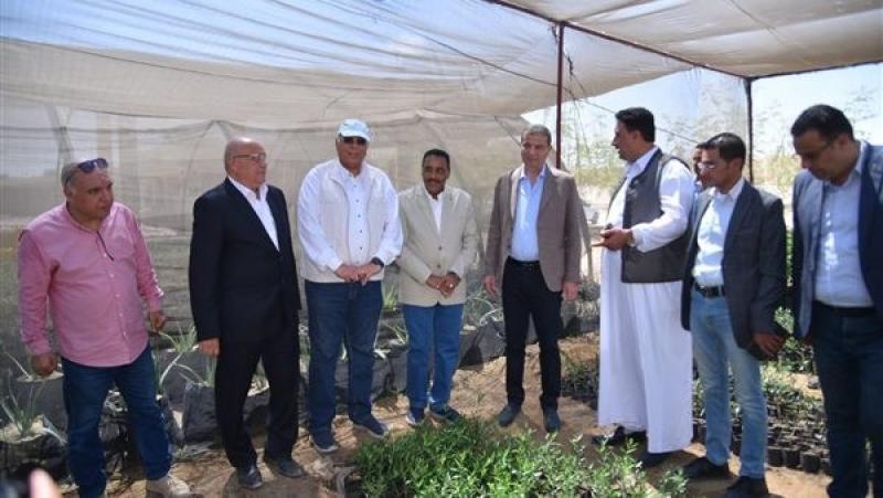 وزير الزراعة ومحافظ مطروح يوزعان 50 ألف شتلة زيتون مجانًا على المزارعين