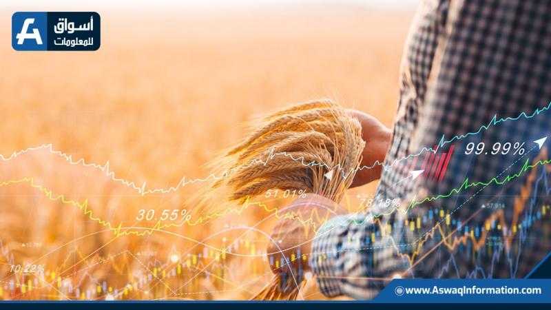 الأردن يشتري نحو 60 ألف طن من القمح بمناقصة دولية