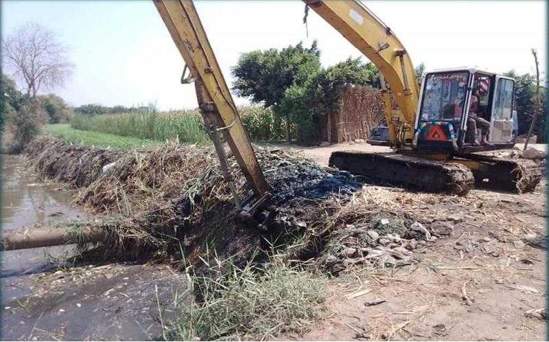 الزراعة: الانتهاء من تطهير ٤٧١٩ مسقى بنسبة إنجاز ٩٧٪| صور