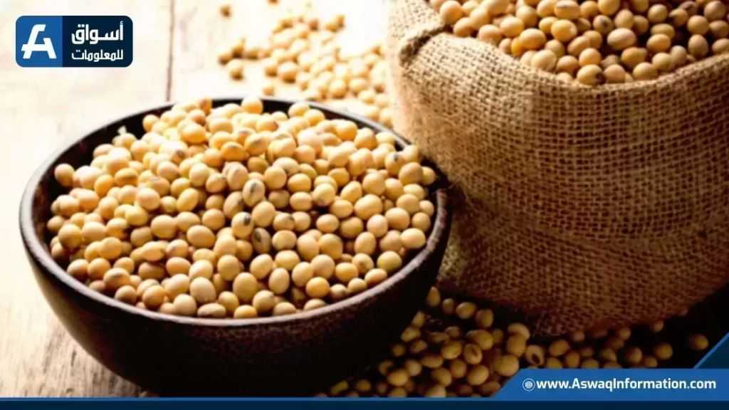 تراجع أسعار فول الصويا العالمية إلى أدنى مستوى في 7 أسابيع