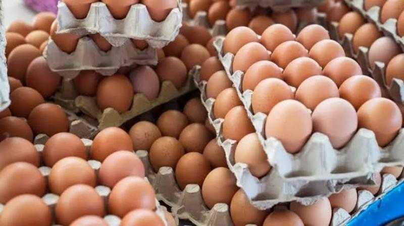 التموين: استمرار طرح بيض المائدة المستورد والمحلي بـ150 جنيهًا للطبق