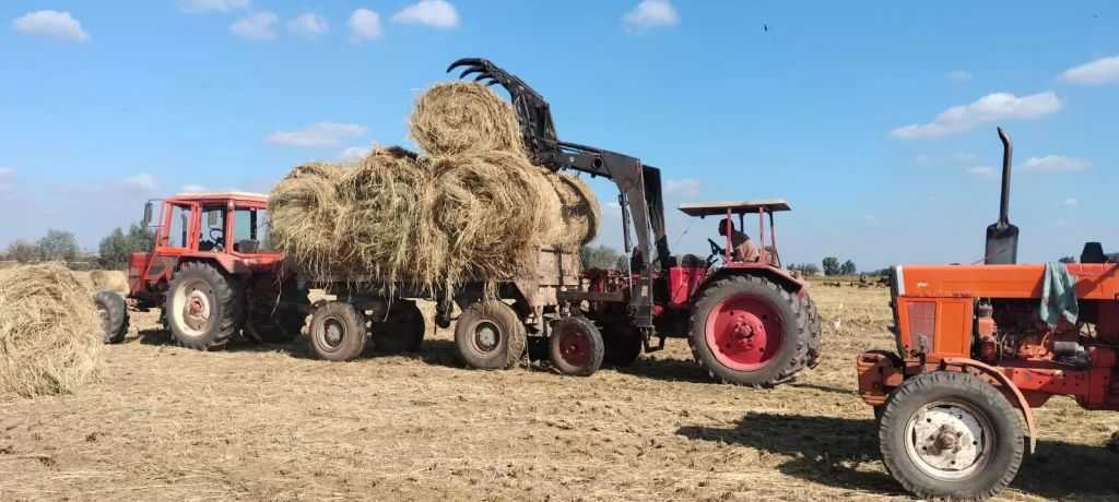 الزراعة: جمع 2.6 مليون طن من قش الأرز.. وإنتاج أكثر من 4800 طن أسمدة عضوية