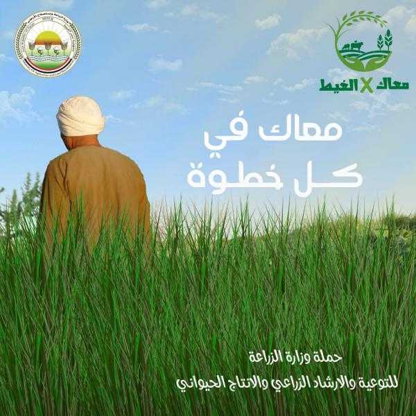 ”الزراعة” تطلق حملة ”معاك في الغيط” لدعم الإنتاج الزراعي والحيواني