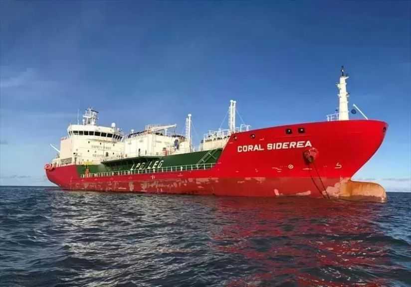 تصدير 9 آلاف طن حديد تسليح إلى السودان عبر ميناء السويس