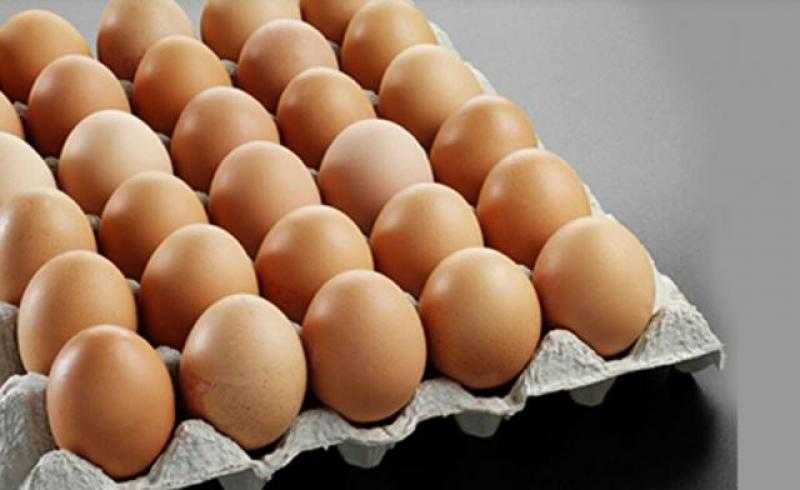 أسعار البيض اليوم الأحد بالمزرعة.. وصلت لكام