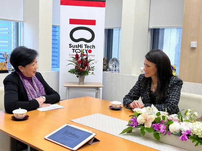 وزيرة التخطيط: نعمل على دفع العلاقات الاقتصادية المصرية اليابانية