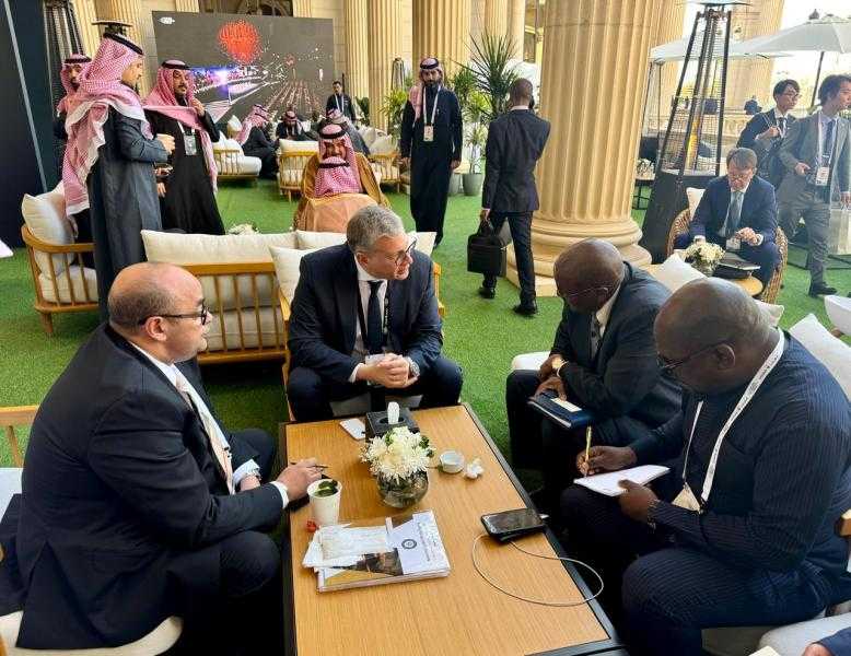 مصر وتنزانيا تبحثان تعزيز التعاون بمجال التعدين