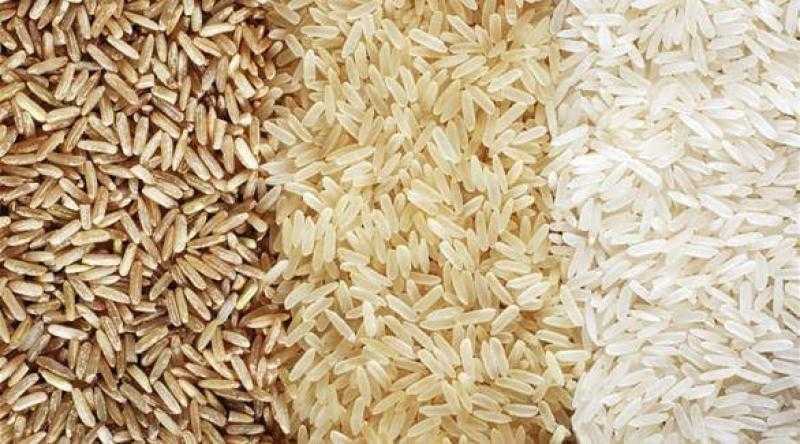بورصة حبوب تتوقع استعادة الأرجنتين لمكانتها كثاني أكبر مصدر للشعر في العالم