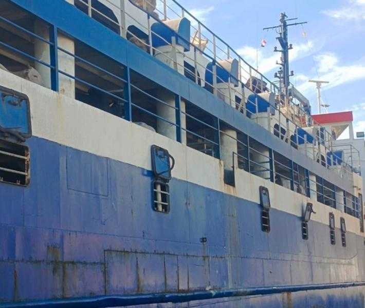 ميناء سفاجا يستقبل 1057 رأس عجول من جيبوتي لصالح ”الخدمة الوطنية”
