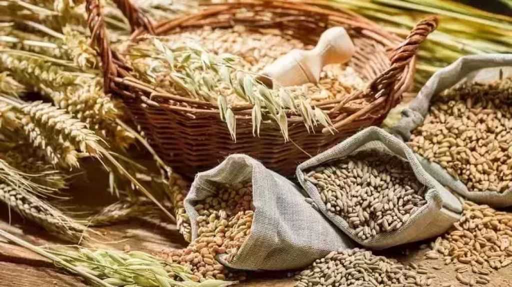 أسعار الحبوب ترتفع في بورصة شيكاغو بعد عطلة يوم الاستقلال