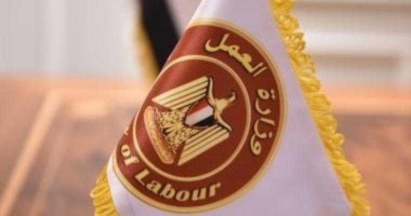 فرص عمل في إحدى الدول الخليجية براتب 41 ألف جنيه.. تفاصيل