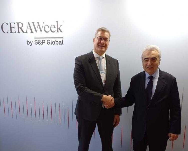 مصر ووكالة الطاقة الدولية تبحثان تعزيز التعاون للتحول إلى اقتصاد منخفض الكربون