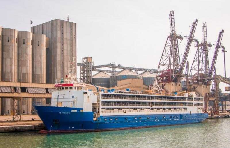 قمح وفول صويا.. ميناء دمياط يستقبل 9600 طنًا من البضائع