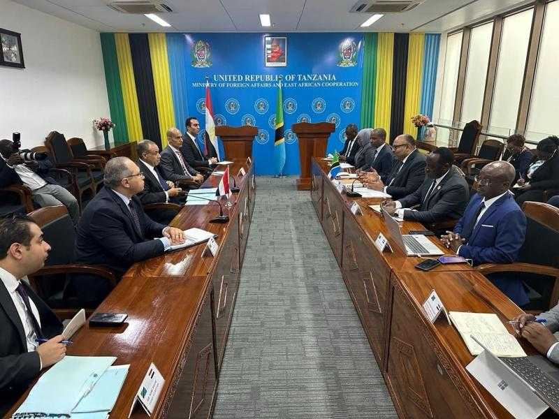 وزير الخارجية يبحث تعزيز التعاون المشترك مع نظيره التنزاني
