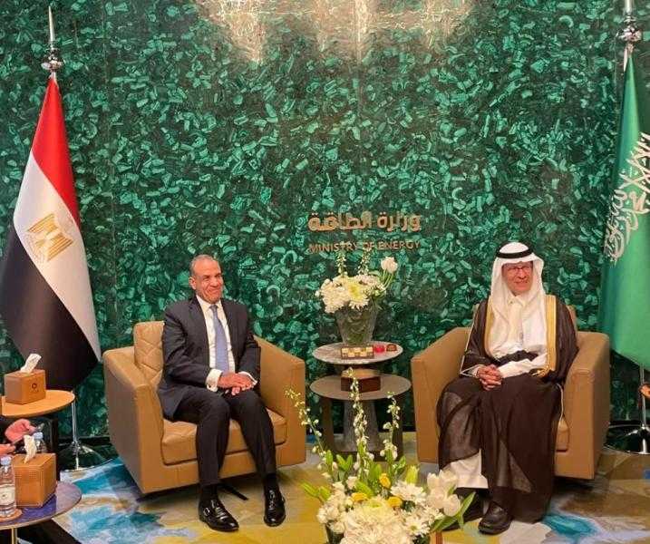 وزير الخارجية: مصر مستعدة للدخول كشريك استراتيجي مع السعودية في مشروعات الطاقة الخضراء