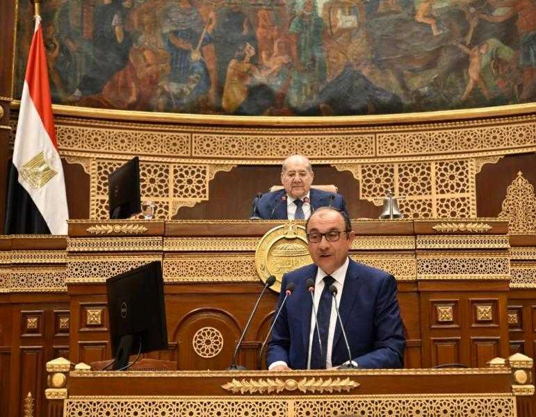 تضم السيارات والأدوية والألومنيوم.. وزير قطاع الأعمال يستعرض مشروعات الشركات التابعة والفرص الاستثمارية