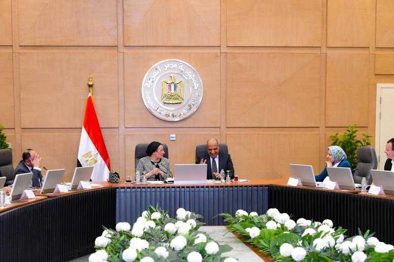 وزيرا الكهرباء والبيئة يبحثان سبل التعاون في القضايا البيئية والطاقات المتجددة