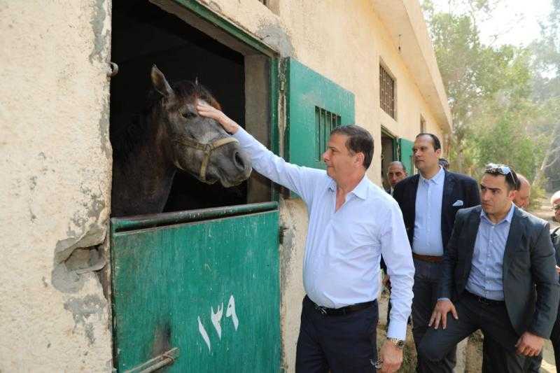 وزير الزراعة يوجه بسرعة تطوير ورفع كفاءة محطة الزهراء للخيول العربية| صور