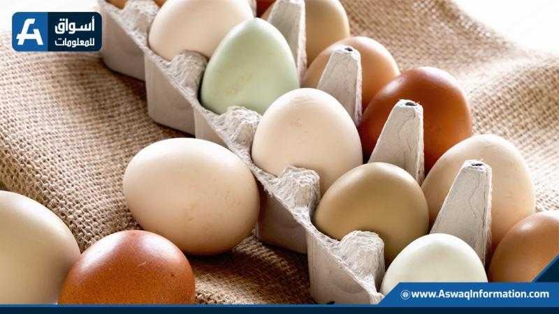 رئيس شعبة البيض: من 350 ألف إلى 900 ألف طبق يوميًا.. ومتوسط السعر 120 جنيهًا
