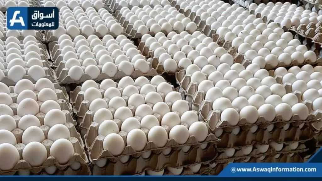 أسعار البيض اليوم الثلاثاء بالمزرعة.. وصلت لكام