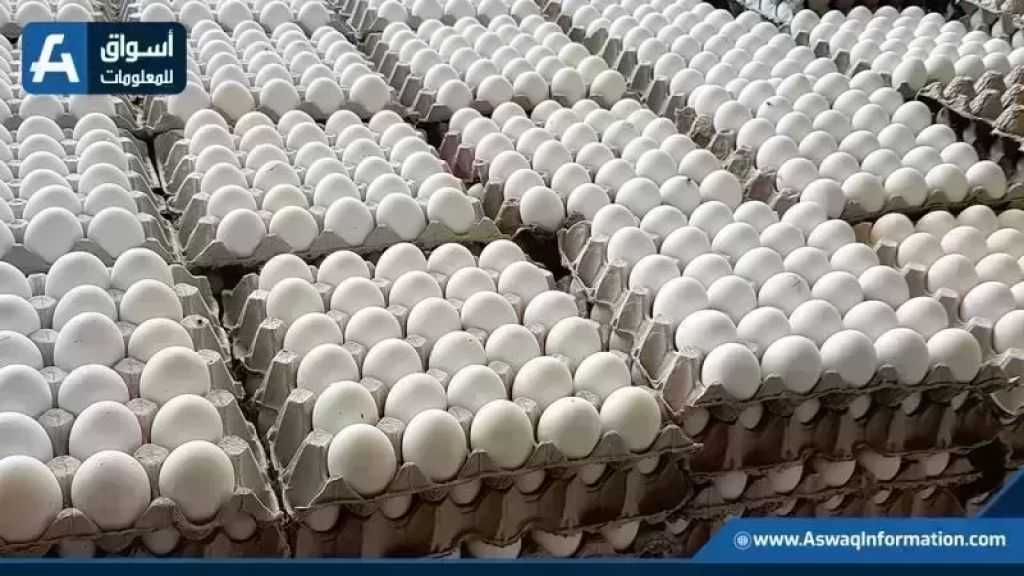 أسعار البيض اليوم الأحد بالمزرعة.. وصلت لكام