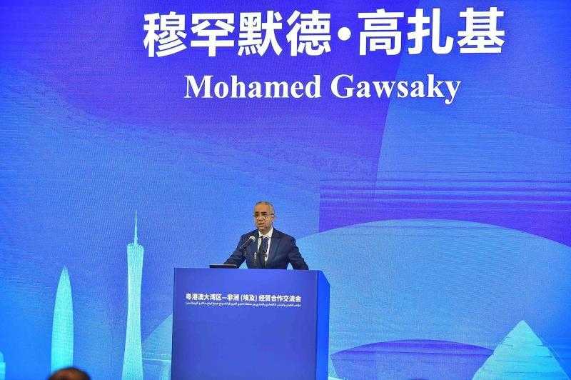استثمارات صينية بـ300 مليون دولار لمصنع سيارات جديد في مصر تعزز التعاون