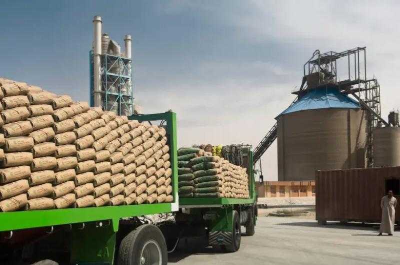 وزير الصناعة: إنتاج الأسمنت في مصر يبلغ 85 مليون طن سنويًا| فيديو