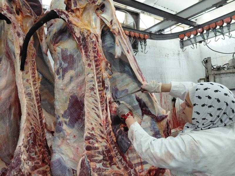 خلال أول أيام العيد.. المجازر الحكومية تستقبل أكثر من 9800 أضحية للذبح بالمجان