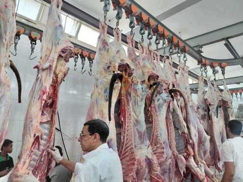 ذبح أكثر من 20 ألف أضحية بالمجازر الحكومية بالمجان خلال أول يومين للعيد