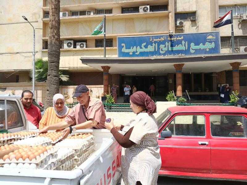 ”الإصلاح الزراعي” تطرح البيض والأسماك للمواطنين بأسعار مخفضة| صور