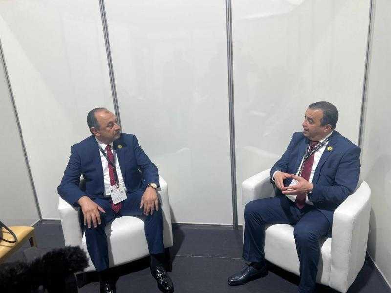 مصر والجزائر تبحثان فرص التعاون في قطاع الصناعات الكيماوية والبتروكيماويات