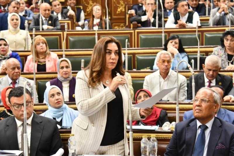 وزيرة التنمية المحلية: سلمنا بيانًا بقطع الأراضي الصالحة لمشروعات الإسكان في المحافظات لمجلس النواب