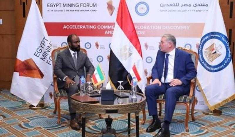 وزير البترول يعقد جلسة مباحثات مع وزير المناجم بدولة غينيا