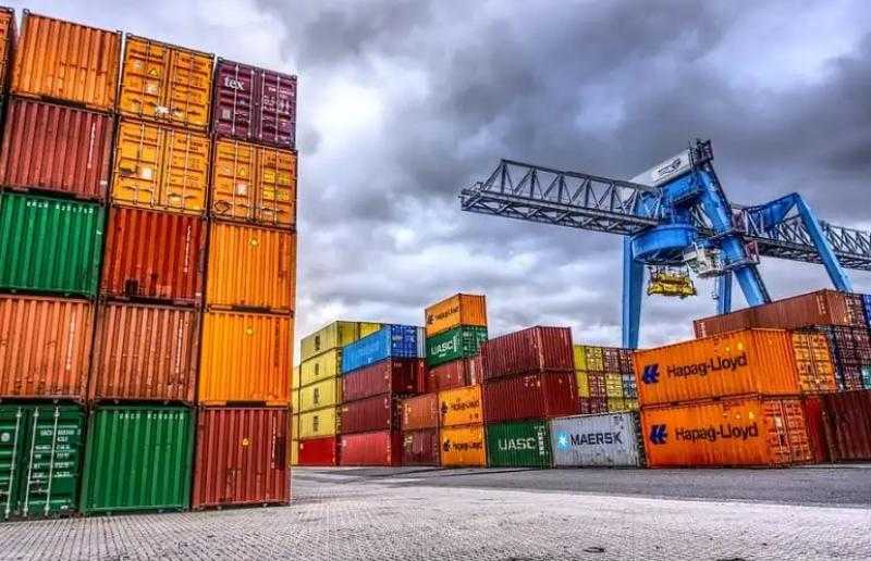 مصر تستورد 205 آلاف طن سبع غذائية وزراعية من 95 دولة خلال أسبوع