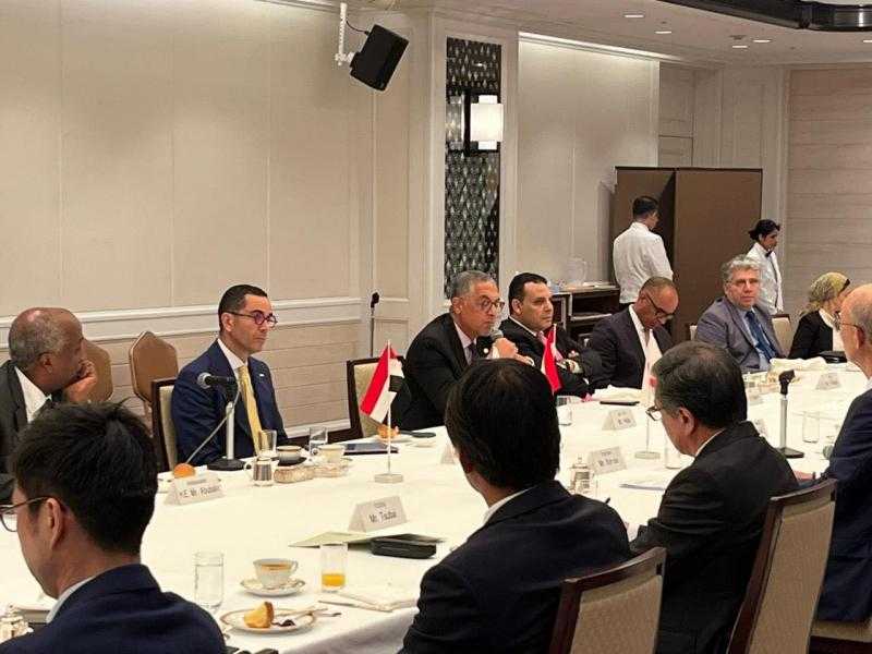 مصر واليابان تبحثان إمكانات التعاون في مجالات الطاقة والغذاء والتصنيع